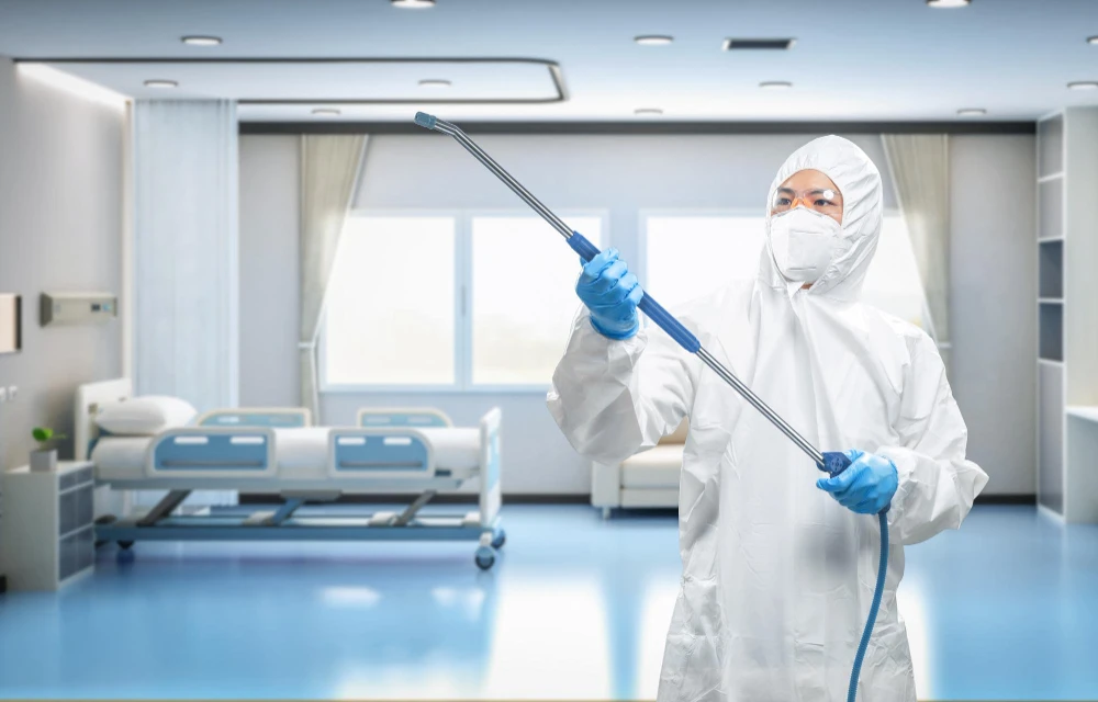 Empresa de sanitização